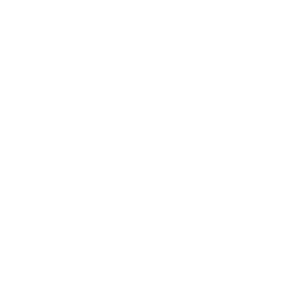 White Icon E Commerce