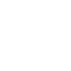White Icon 2